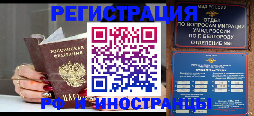 прописка в Бородино
